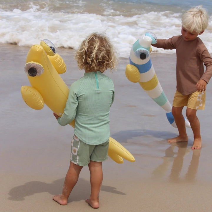 Kids Inflatable Noodle - Finn the Fish