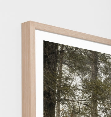 Bushland Hike Framed Print