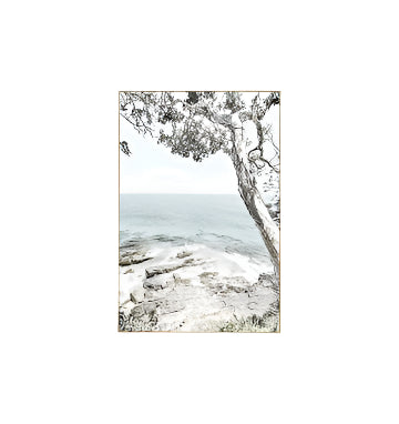 Noosa Eucalyptus Canvas