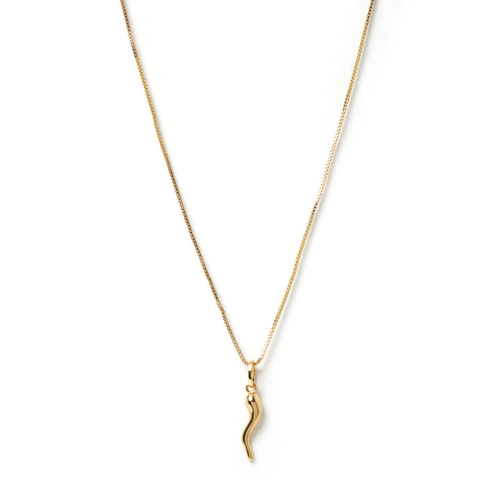 Cornicello Gold Charm Necklace (Large)