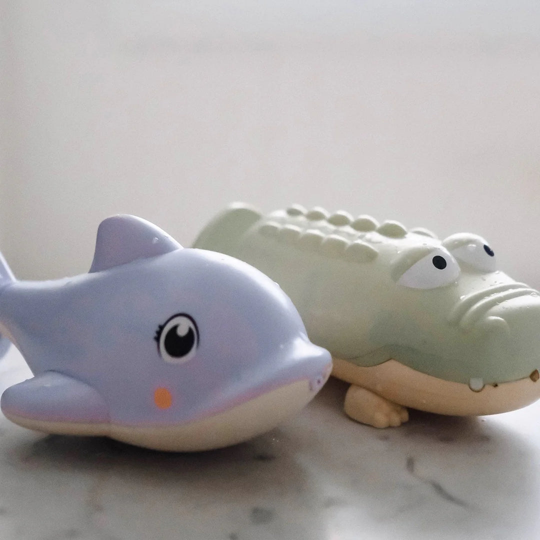 Dolphin Water Squirters