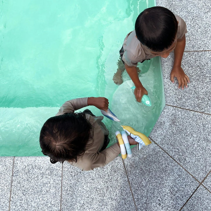 Dive Buddies Set of 6 - Sammy the Seagull