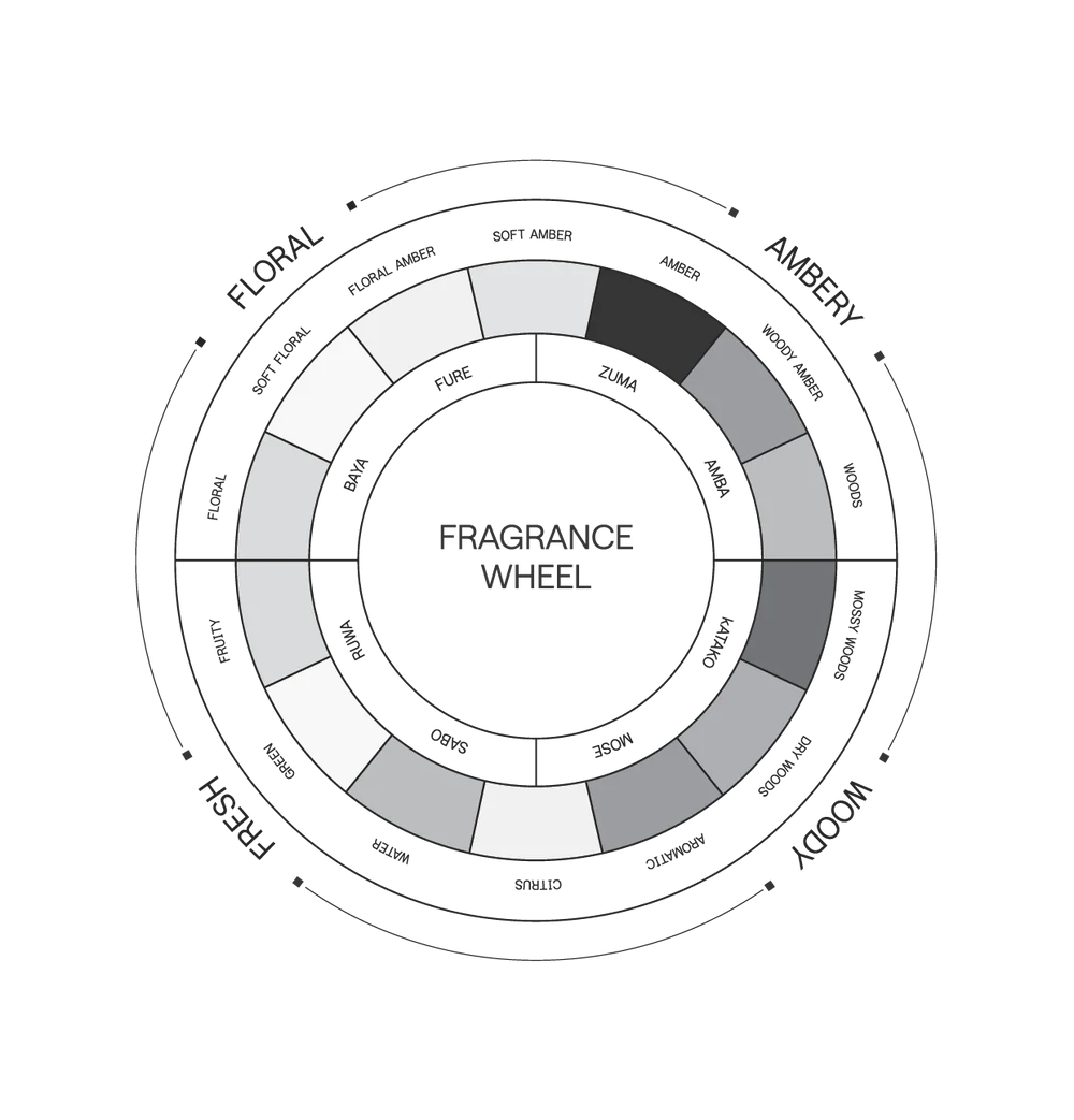 Saint Cobes Discovery Set