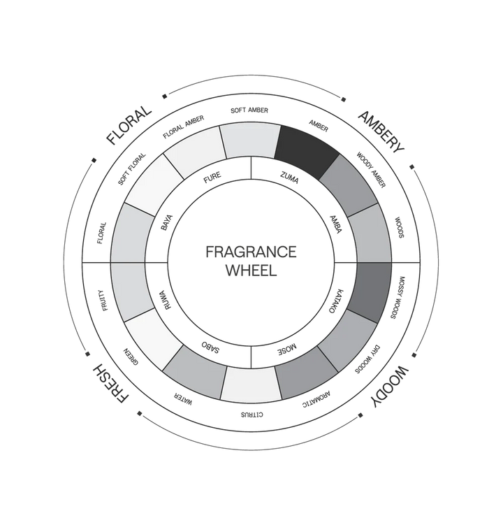 Saint Cobes Discovery Set