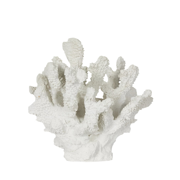 Bay White Coral